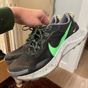Nike Pegasus Trail 3